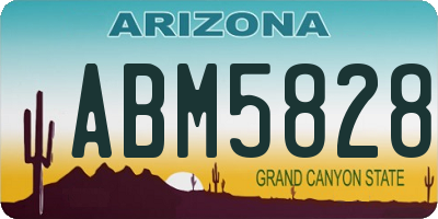 AZ license plate ABM5828