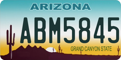 AZ license plate ABM5845