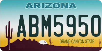 AZ license plate ABM5950