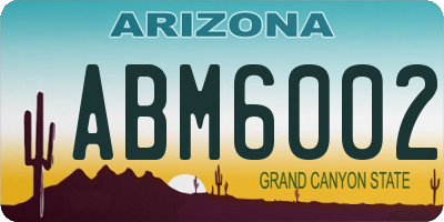 AZ license plate ABM6002