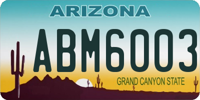 AZ license plate ABM6003