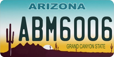 AZ license plate ABM6006