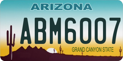 AZ license plate ABM6007