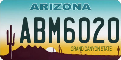 AZ license plate ABM6020