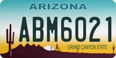 AZ license plate ABM6021