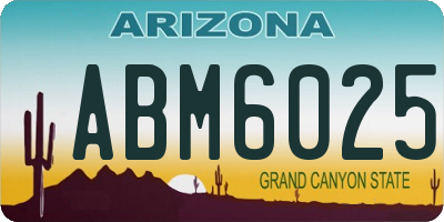 AZ license plate ABM6025