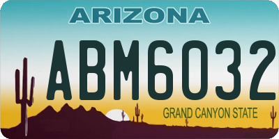 AZ license plate ABM6032