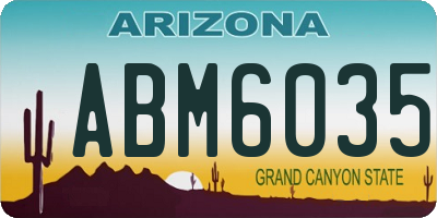 AZ license plate ABM6035