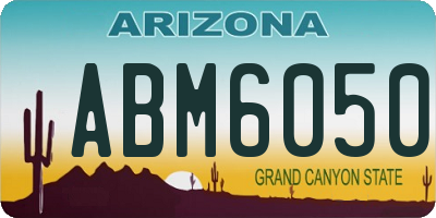 AZ license plate ABM6050