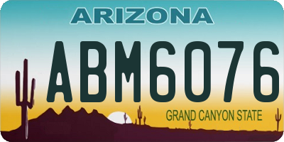 AZ license plate ABM6076