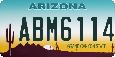 AZ license plate ABM6114