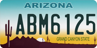 AZ license plate ABM6125