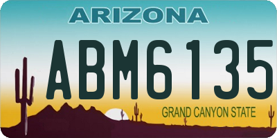 AZ license plate ABM6135