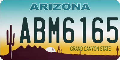 AZ license plate ABM6165