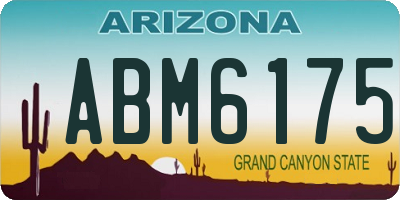AZ license plate ABM6175