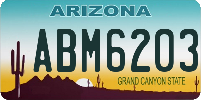 AZ license plate ABM6203