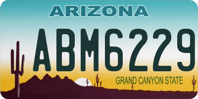AZ license plate ABM6229