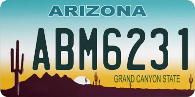 AZ license plate ABM6231