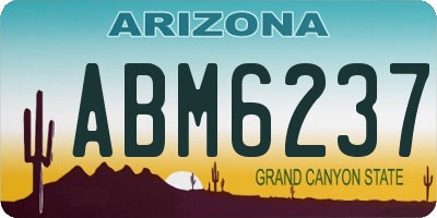 AZ license plate ABM6237