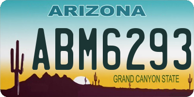 AZ license plate ABM6293