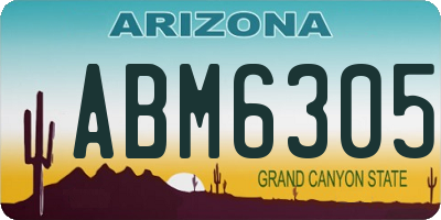 AZ license plate ABM6305