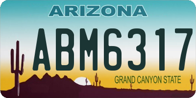 AZ license plate ABM6317