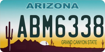 AZ license plate ABM6338