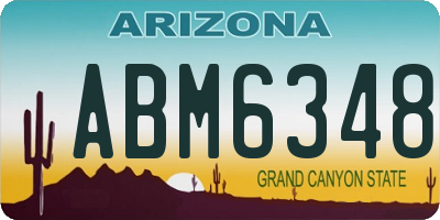 AZ license plate ABM6348
