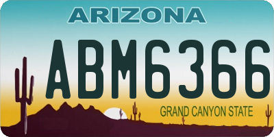 AZ license plate ABM6366