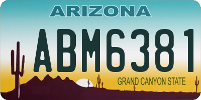 AZ license plate ABM6381