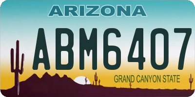 AZ license plate ABM6407