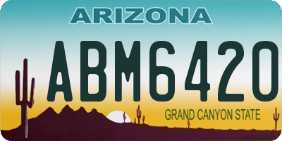 AZ license plate ABM6420