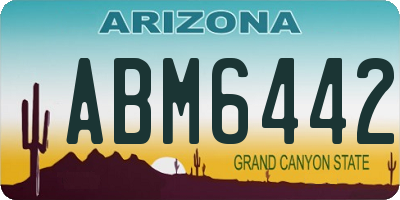 AZ license plate ABM6442