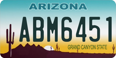 AZ license plate ABM6451