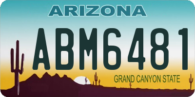 AZ license plate ABM6481