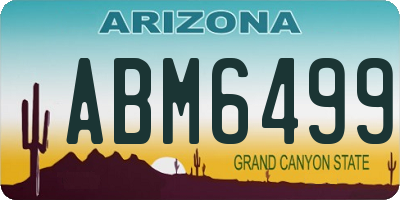 AZ license plate ABM6499