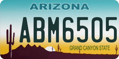 AZ license plate ABM6505