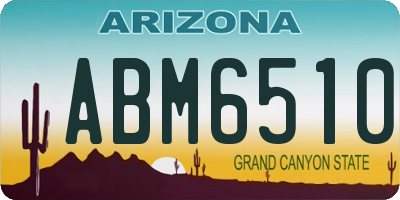 AZ license plate ABM6510