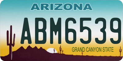 AZ license plate ABM6539