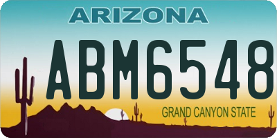 AZ license plate ABM6548