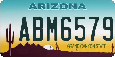 AZ license plate ABM6579