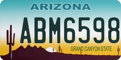 AZ license plate ABM6598