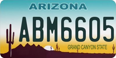 AZ license plate ABM6605