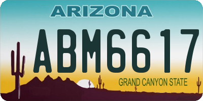 AZ license plate ABM6617