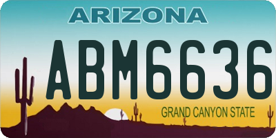 AZ license plate ABM6636