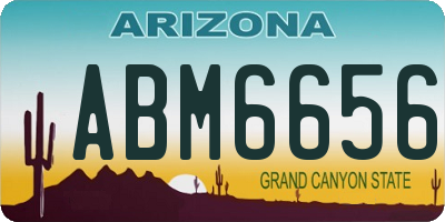 AZ license plate ABM6656