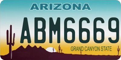 AZ license plate ABM6669