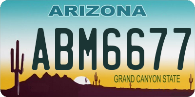 AZ license plate ABM6677