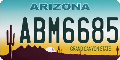AZ license plate ABM6685
