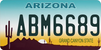 AZ license plate ABM6689